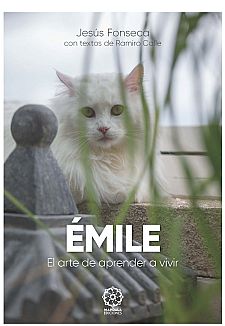 Emile, el arte de aprender a vivir