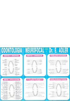 ODONTOLOGA NEUROFOCAL DEL DR. ADLER LMINA 2
