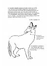 Acupuntura en animales - MAN0010028