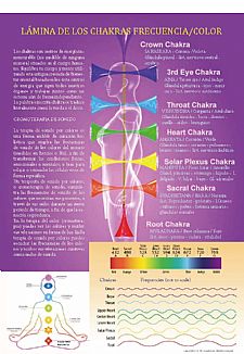 LMINA DE LOS CHAKRAS frecuencia/color