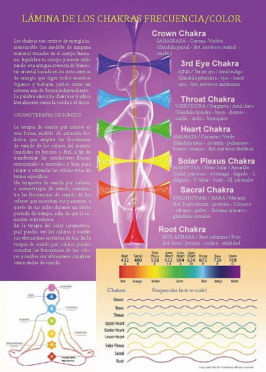 LÁMINA DE LOS CHAKRAS frecuencia/color