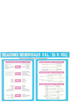 ODONTOLOGA NEUROFOCAL DEL DR. ADLER LMINA 1