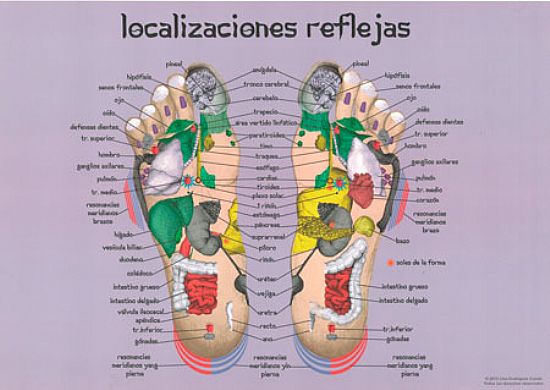 Lmina Localizaciones Reflejas