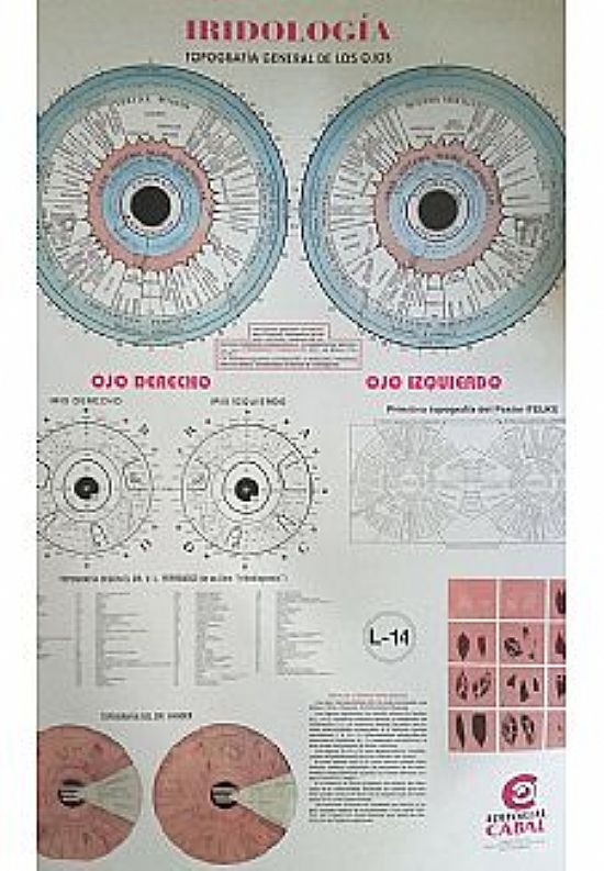 Lamina Iridologia (mediana)