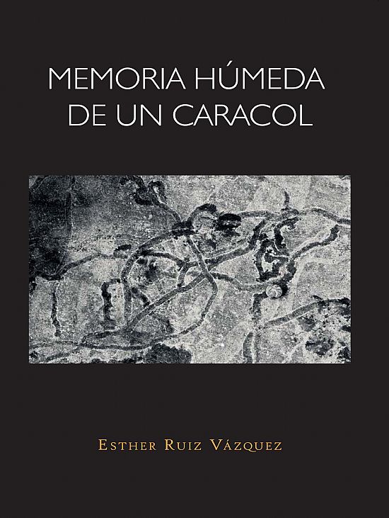 Memoria hmeda de un caracol